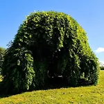 Le Domaine Des Roseraies- Flaubert By Interhome * Monfreville