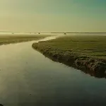 Le Domaine Des Roseraies- Flaubert By Interhome