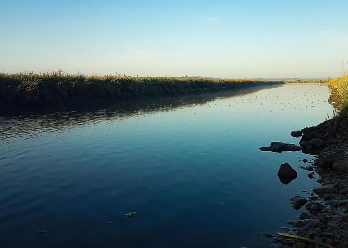 Le Domaine Des Roseraies- Flaubert By Interhome Semesterbostad